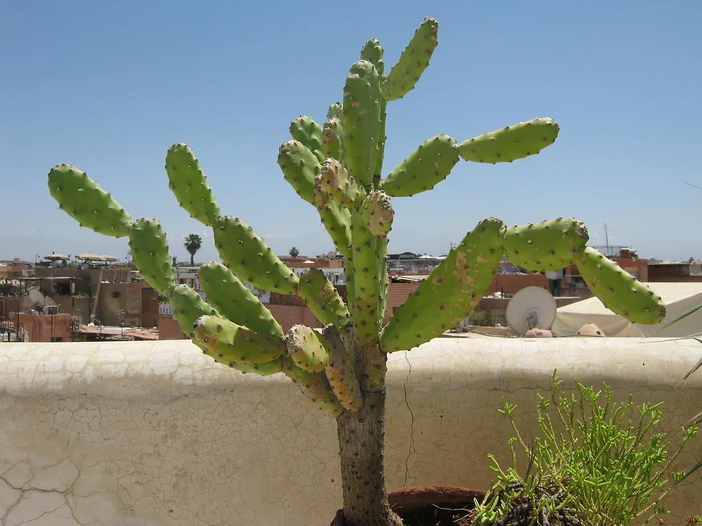 Douarskoll Bed & Breakfast Marrakesh